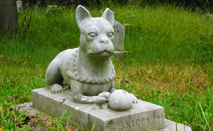 Cerimonie funebri per animali da compagnia, statua di un cane